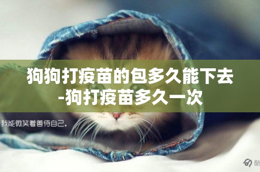 狗狗打疫苗的包多久能下去-狗打疫苗多久一次