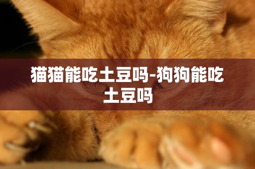 貓貓能吃土豆嗎-狗狗能吃土豆嗎
