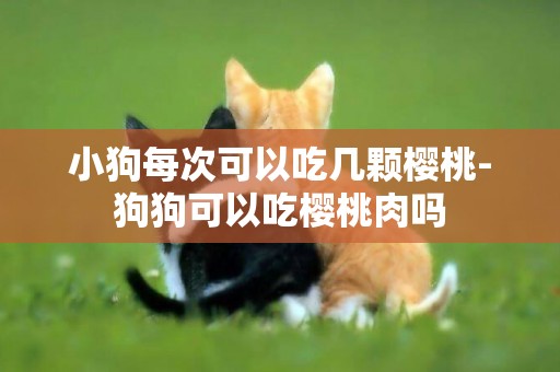 小狗每次可以吃幾顆櫻桃-狗狗可以吃櫻桃肉嗎