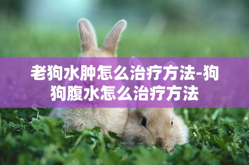 老狗水腫怎么治療方法-狗狗腹水怎么治療方法