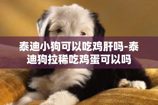 泰迪小狗可以吃雞肝嗎-泰迪狗拉稀吃雞蛋可以嗎