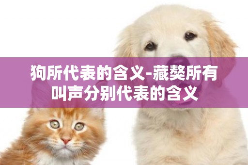 狗所代表的含義-藏獒所有叫聲分別代表的含義