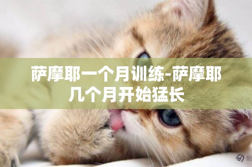 薩摩耶一個月訓練-薩摩耶幾個月開始猛長