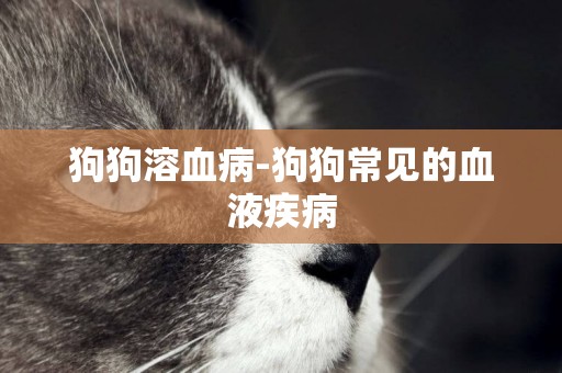 狗狗溶血病-狗狗常見的血液疾病