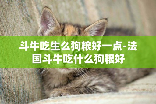 斗牛吃生么狗糧好一點-法國斗牛吃什么狗糧好