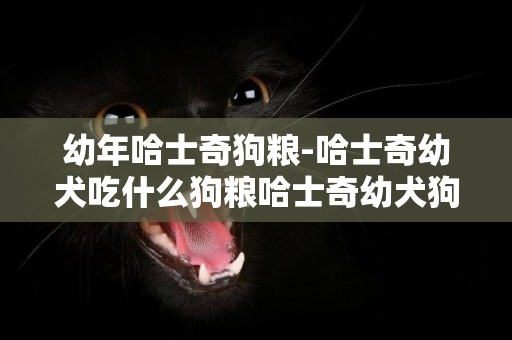 幼年哈士奇狗糧-哈士奇幼犬吃什么狗糧哈士奇幼犬狗糧