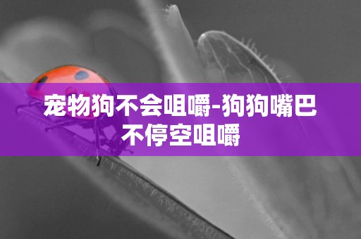 寵物狗不會咀嚼-狗狗嘴巴不停空咀嚼