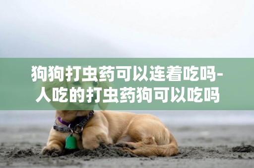 狗狗打蟲藥可以連著吃嗎-人吃的打蟲藥狗可以吃嗎