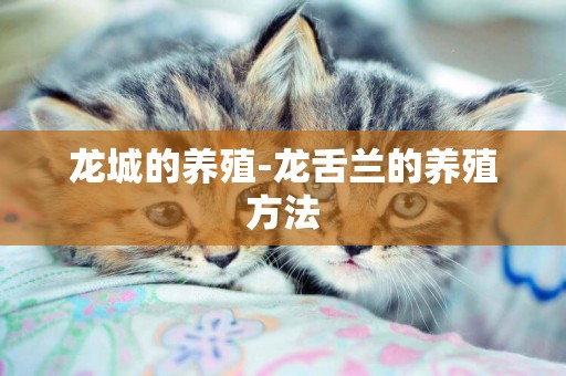 龍城的養殖-龍舌蘭的養殖方法