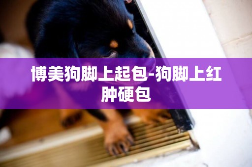 博美狗腳上起包-狗腳上紅腫硬包