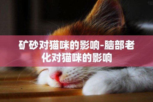 礦砂對貓咪的影響-腦部老化對貓咪的影響