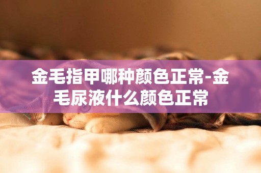 金毛指甲哪種顏色正常-金毛尿液什么顏色正常