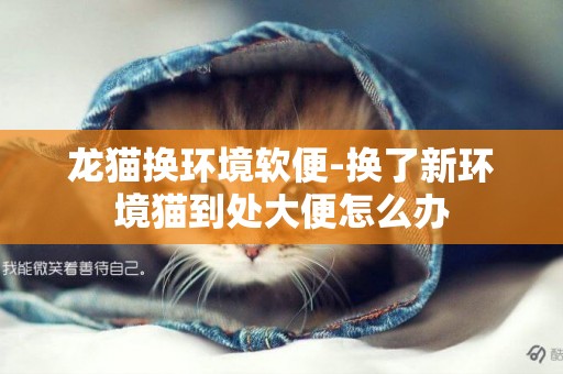 龍貓換環境軟便-換了新環境貓到處大便怎么辦