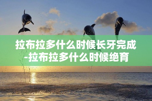 拉布拉多什么時候長牙完成-拉布拉多什么時候絕育