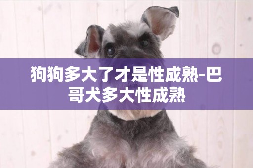 狗狗多大了才是性成熟-巴哥犬多大性成熟