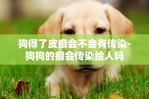 狗得了皮癬會不會有傳染-狗狗的癬會傳染給人嗎
