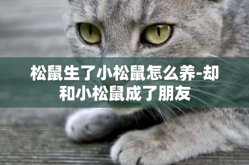 松鼠生了小松鼠怎么養-卻和小松鼠成了朋友