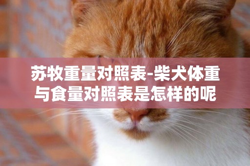 蘇牧重量對照表-柴犬體重與食量對照表是怎樣的呢