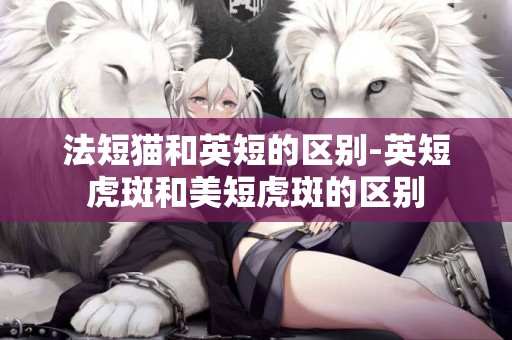 法短貓和英短的區別-英短虎斑和美短虎斑的區別