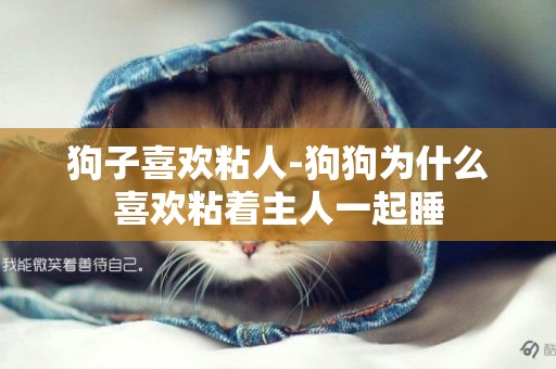 狗子喜歡粘人-狗狗為什么喜歡粘著主人一起睡