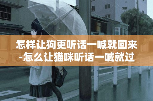 怎樣讓狗更聽話一喊就回來-怎么讓貓咪聽話一喊就過來