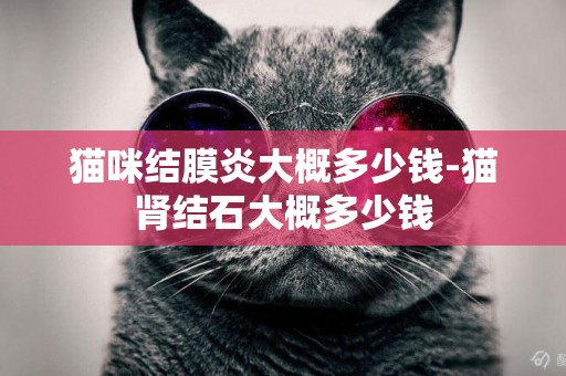 貓咪結膜炎大概多少錢-貓腎結石大概多少錢