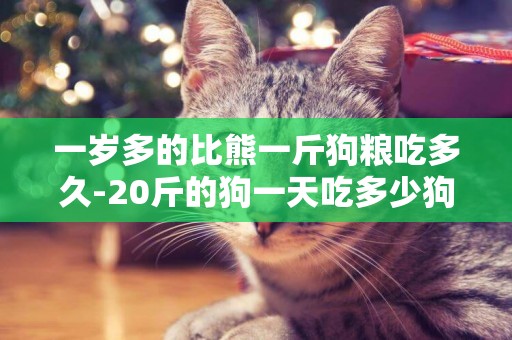 一歲多的比熊一斤狗糧吃多久-20斤的狗一天吃多少狗糧