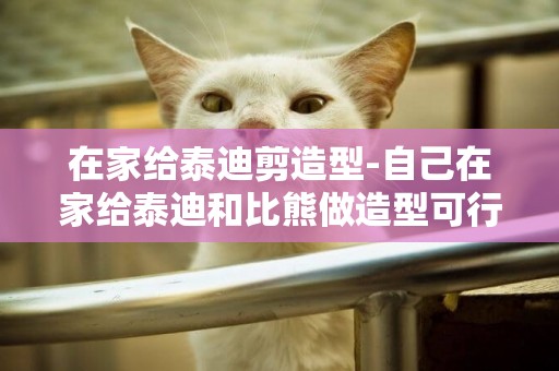 在家給泰迪剪造型-自己在家給泰迪和比熊做造型可行嗎