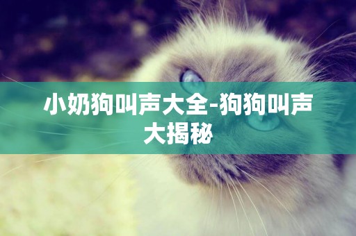 小奶狗叫聲大全-狗狗叫聲大揭秘