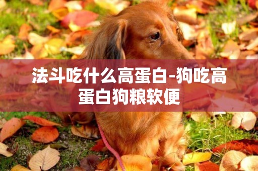 法斗吃什么高蛋白-狗吃高蛋白狗糧軟便