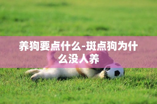 養狗要點什么-斑點狗為什么沒人養