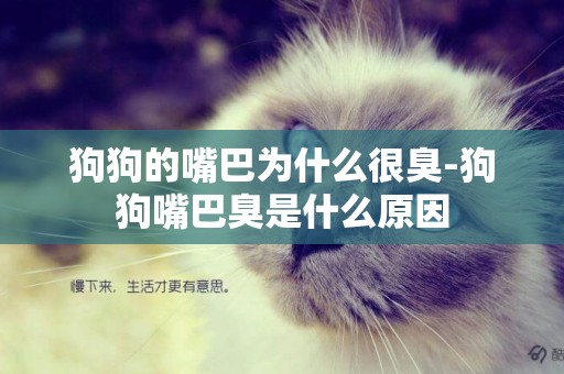 狗狗的嘴巴為什么很臭-狗狗嘴巴臭是什么原因