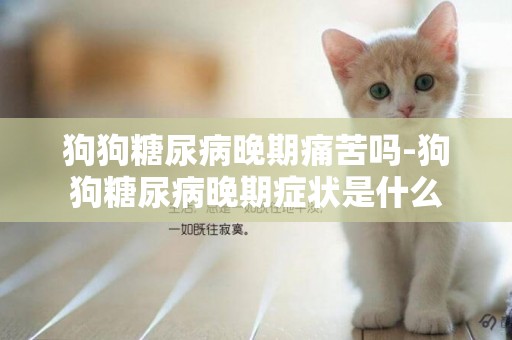 狗狗糖尿病晚期痛苦嗎-狗狗糖尿病晚期癥狀是什么
