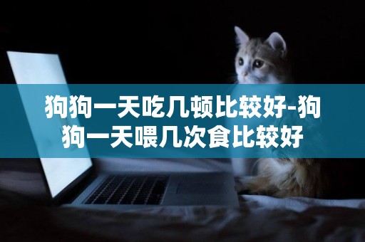 狗狗一天吃幾頓比較好-狗狗一天喂幾次食比較好