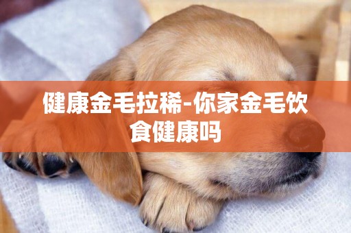 健康金毛拉稀-你家金毛飲食健康嗎