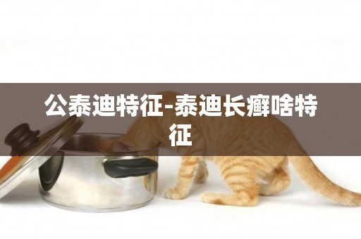 公泰迪特征-泰迪長癬啥特征