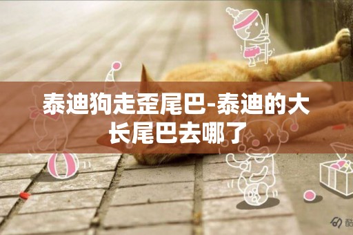 泰迪狗走歪尾巴-泰迪的大長尾巴去哪了