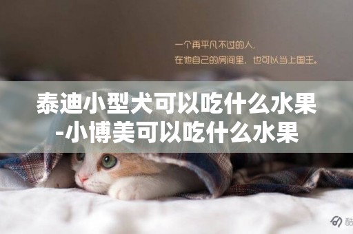 泰迪小型犬可以吃什么水果-小博美可以吃什么水果