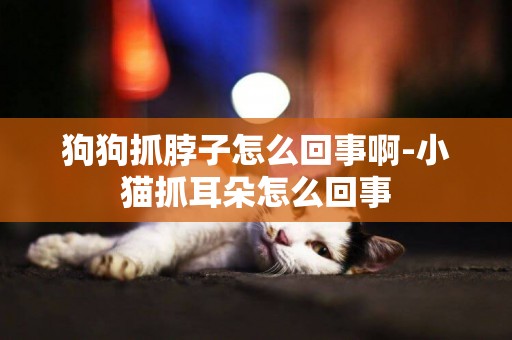 狗狗抓脖子怎么回事啊-小貓抓耳朵怎么回事