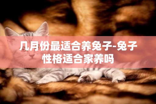 幾月份最適合養兔子-兔子性格適合家養嗎