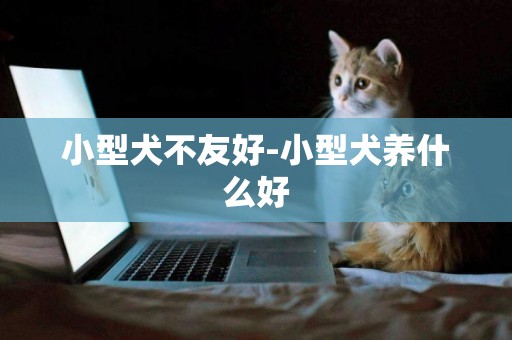 小型犬不友好-小型犬養什么好
