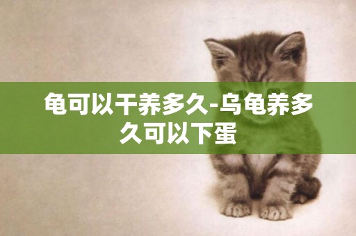 龜可以干養多久-烏龜養多久可以下蛋