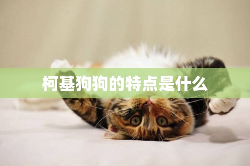 柯基狗狗的特點是什么