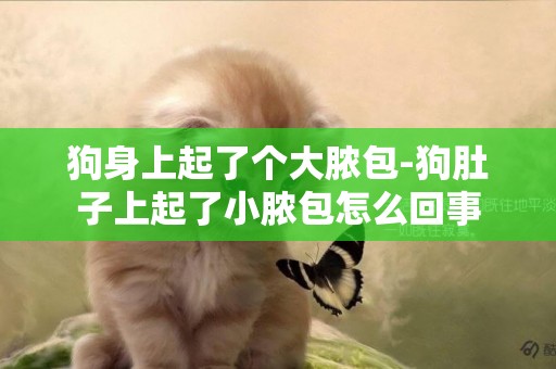 狗身上起了個大膿包-狗肚子上起了小膿包怎么回事