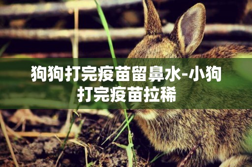 狗狗打完疫苗留鼻水-小狗打完疫苗拉稀