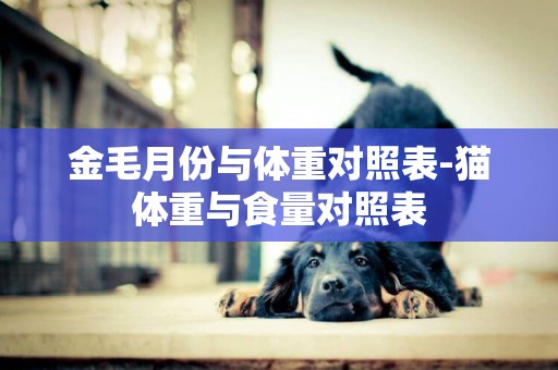 金毛月份與體重對照表-貓體重與食量對照表