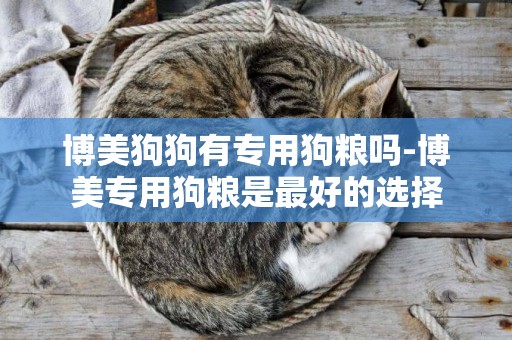 博美狗狗有專用狗糧嗎-博美專用狗糧是最好的選擇
