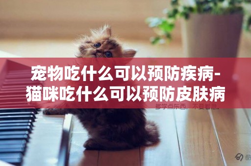 寵物吃什么可以預防疾病-貓咪吃什么可以預防皮膚病