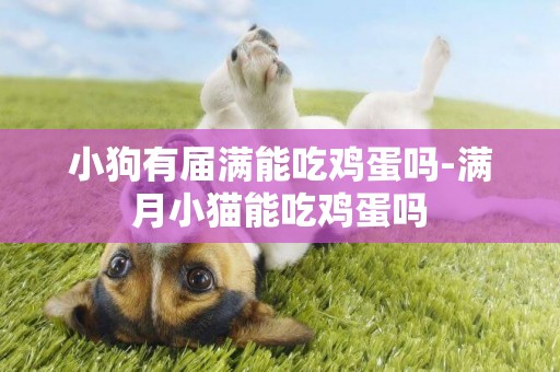 小狗有屆滿能吃雞蛋嗎-滿月小貓能吃雞蛋嗎
