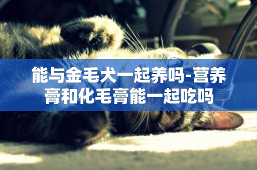 能與金毛犬一起養嗎-營養膏和化毛膏能一起吃嗎